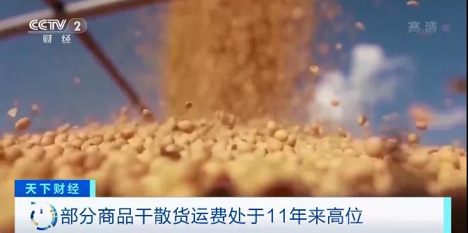 央視：預計運費持續(xù)上漲到年底！一艙難求！市場空前火爆！