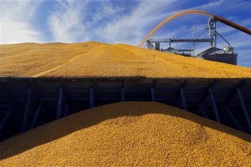 "噠! 噠! 噠!" 這種船就像印鈔機(jī), 每天吐出3萬美金! 印錢能力翻著滾漲! ...關(guān)鍵時(shí)還不忘拉一把"窮親戚"