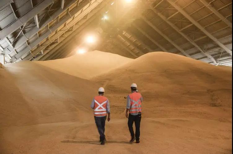 "噠! 噠! 噠!" 這種船就像印鈔機(jī), 每天吐出3萬美金! 印錢能力翻著滾漲! ...關(guān)鍵時(shí)還不忘拉一把"窮親戚"