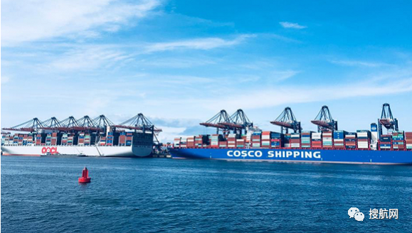 集裝箱運費燃新高！跨太平洋漲了228%，跨大西洋漲了132%，亞歐航線漲幅最瘋狂！