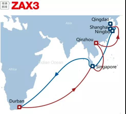 一箱船船長感染新冠死亡！多國港口禁止掛靠！曾掛靠青島、上海和寧波等港口