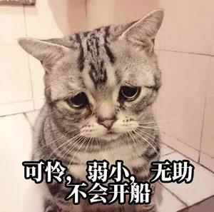 預(yù)提費(fèi)落箱費(fèi)，天價(jià)運(yùn)費(fèi)再加雜費(fèi)！開(kāi)港晚截單早，心力交瘁等船到廢！