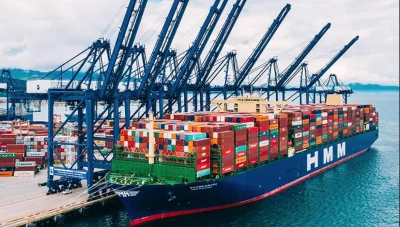 超一半HMM船員辭職，MSC雇用?THE聯(lián)盟損失5.8億$，釜山港遭遇危機