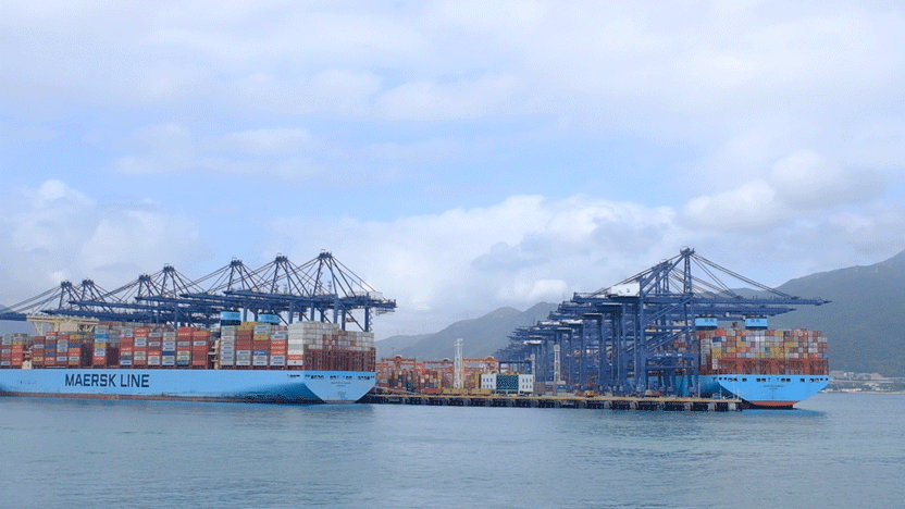 鹽田國(guó)際14天內(nèi)新增3條美加航線！