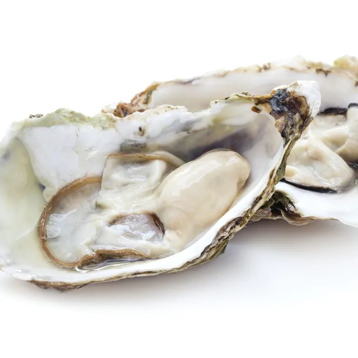 常見海鮮產(chǎn)品規(guī)范申報(bào)要素歸納