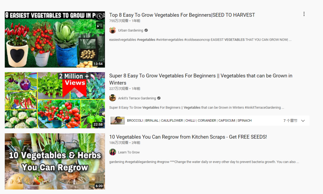 種菜神器火了！老祖宗手藝在海外“人傳人”