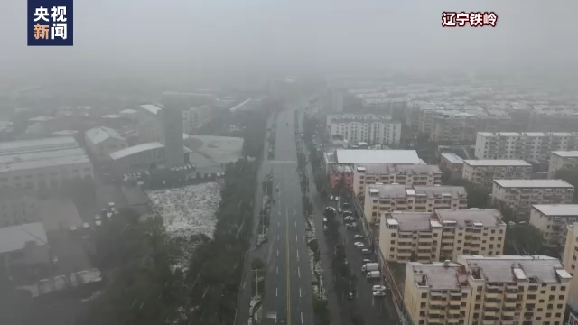 多地迎來今秋第一場(chǎng)雪！今年冬天會(huì)更冷？
