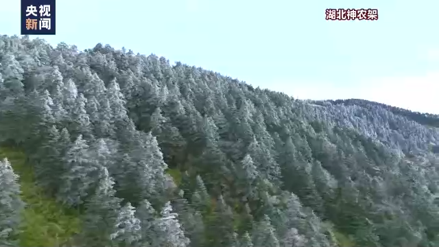 多地迎來今秋第一場(chǎng)雪！今年冬天會(huì)更冷？