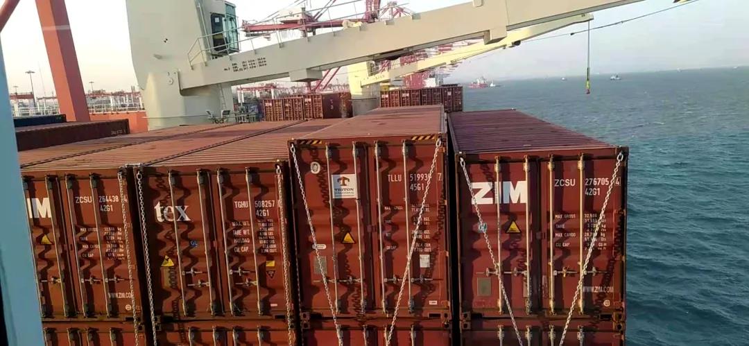 8631美元/TEU！中遠海運特運改造紙漿船裝運集裝箱！