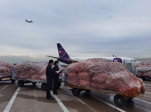 同比增長(zhǎng)63.3%，跨境電商增長(zhǎng)迅猛