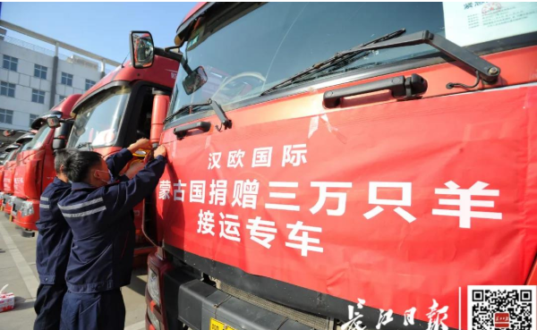 武漢10臺集裝箱冷鏈車出發(fā)，將接運蒙古國捐贈首批1.2萬只羊