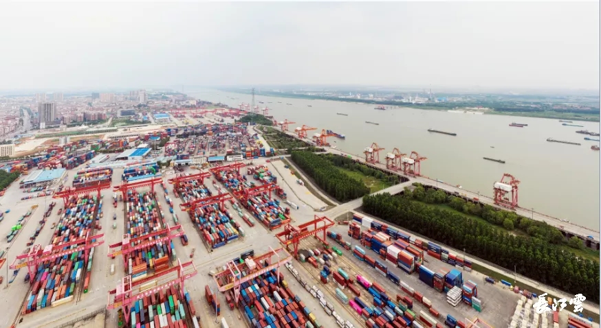 13.39萬標(biāo)箱！武港集團(tuán)集裝箱吞吐量再次刷新單月歷史紀(jì)錄